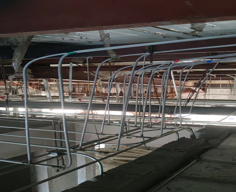 1661950521919744.jpg 1.jpg