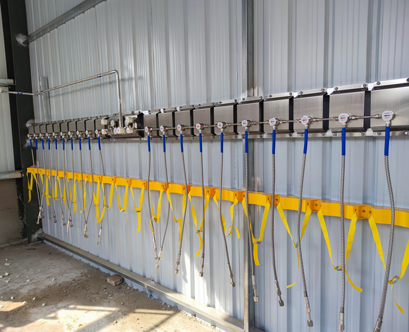 1698827685125246.jpg 12.jpg